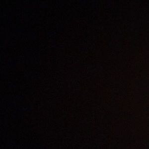 Meet your Posher, Precious